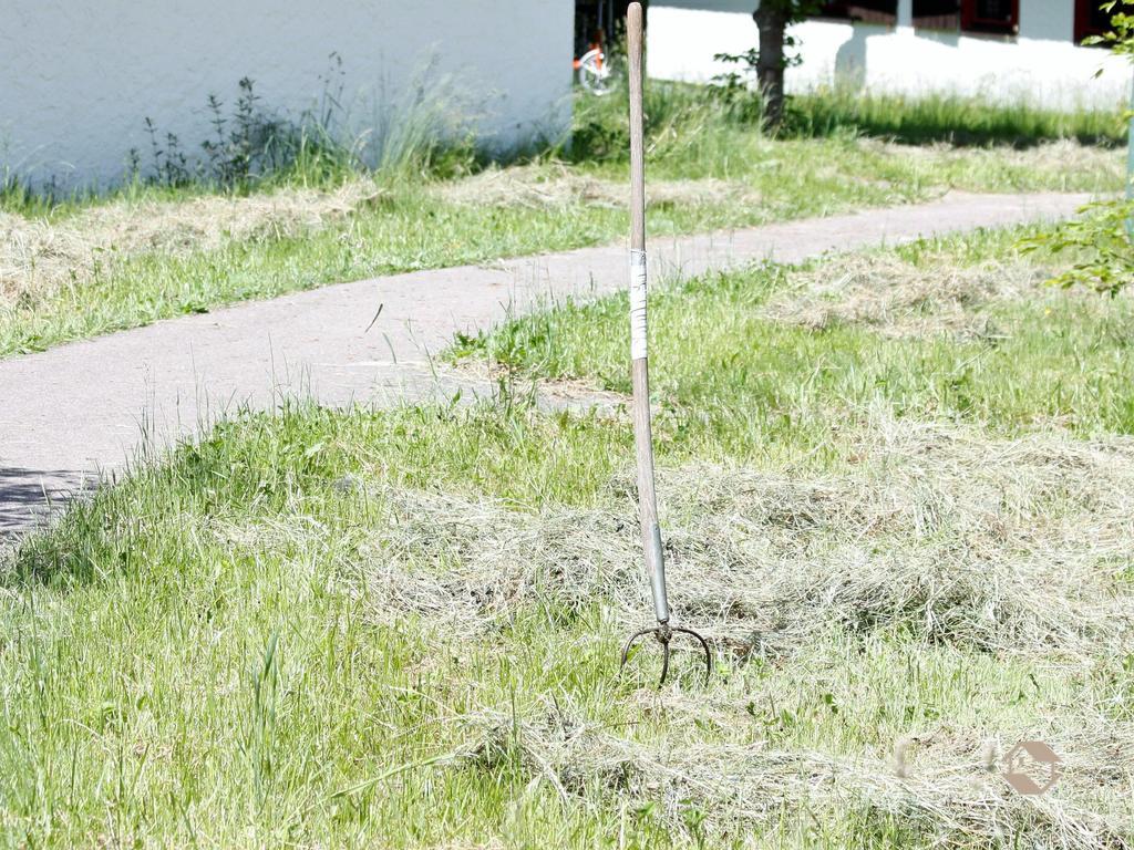 Ferien- & Freizeitpark Grafenhausen Villa Eksteriør billede
